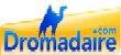 Dromadaire